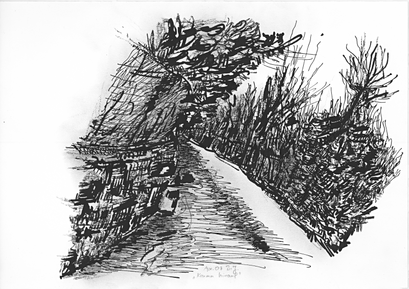 Man sieht einen nach links ansteigenden Weg an einer Bergflanke, der rechts von Gestrüpp und Bäumen und links von einer bedrohlich geneigten Mauer mit Zaun und Gebüsch begrenzt ist.