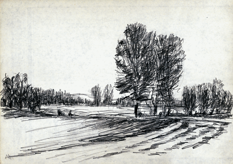 Ein Weg, der eine schneebedeckte Wiesenfläche durchquert, kahle Bäume, im Hintergrund ein Hügel